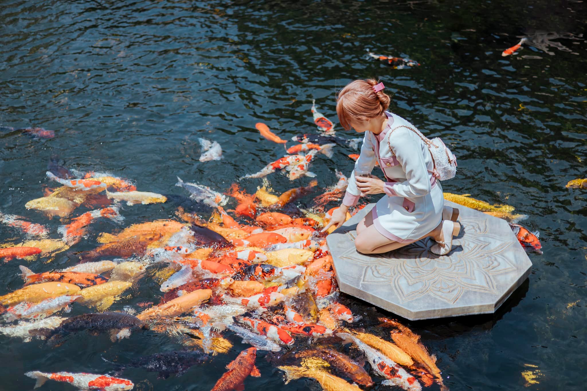 365191903 299824239369512 952928123864296140 n