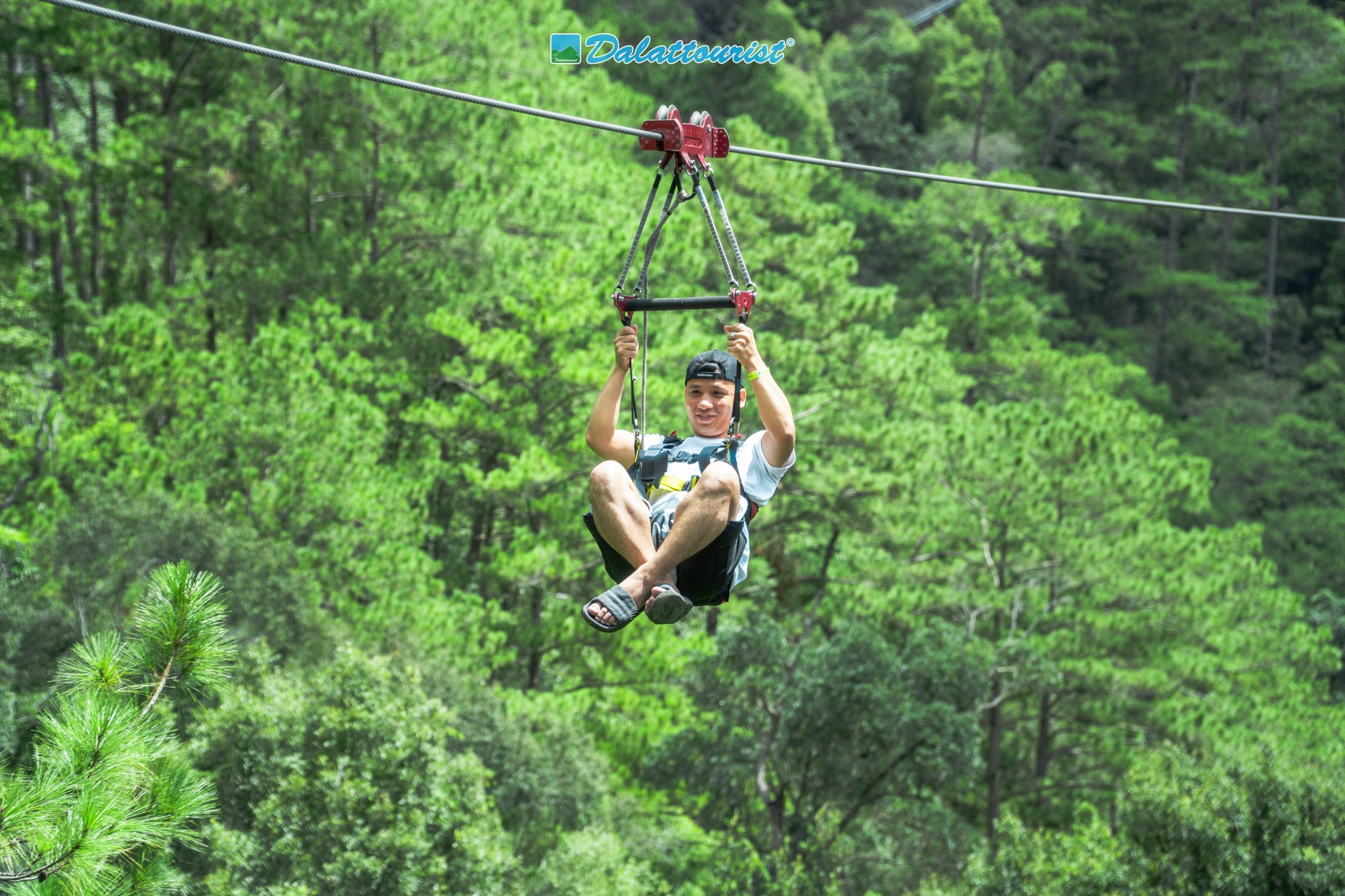 367444301 808209717763883 2912422101448092481 n