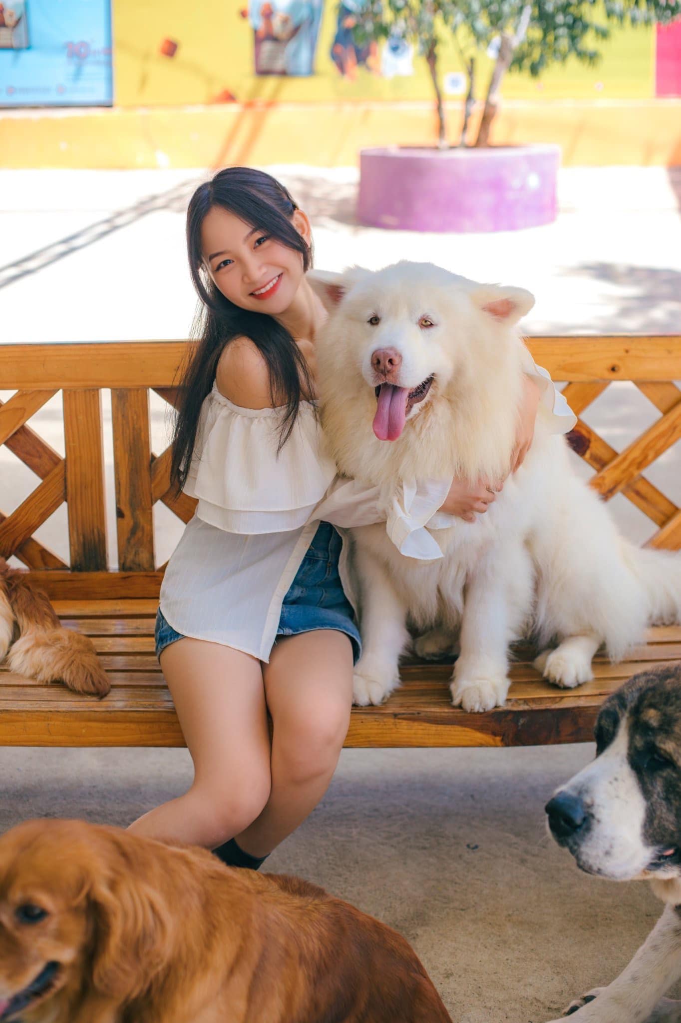 369967299 2113606898970768 2045477140422493117 n