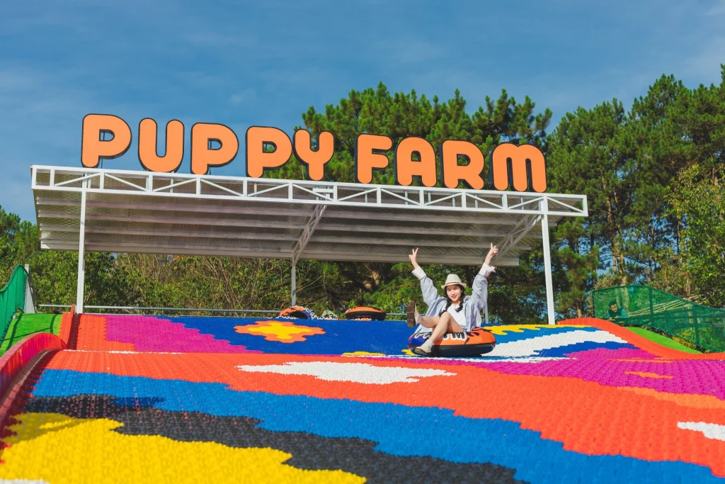 h1 1718702344102251050816 1024x683 1