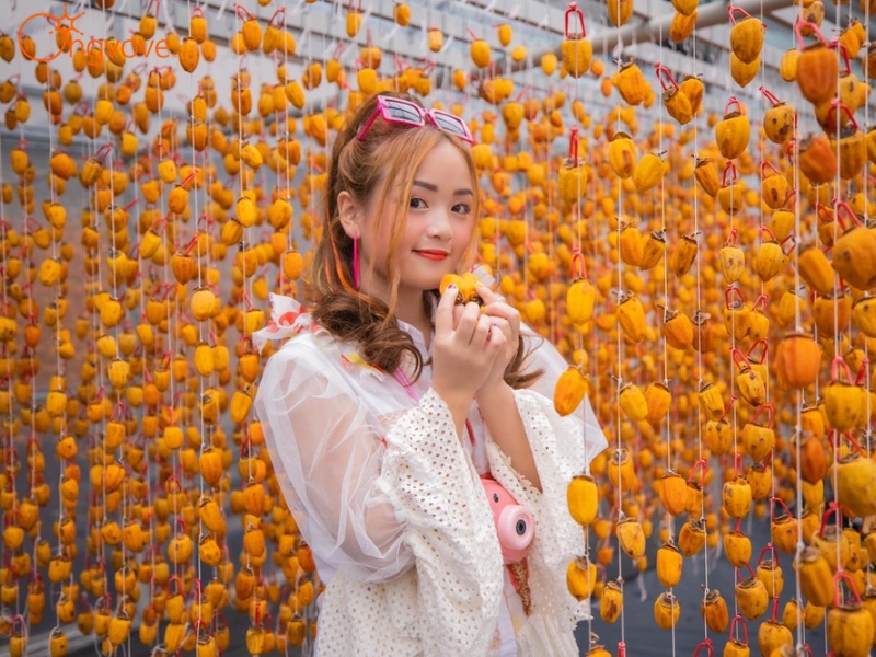 kham pha khong gian tho mong tai vuon hong treo gio da lat berry garden