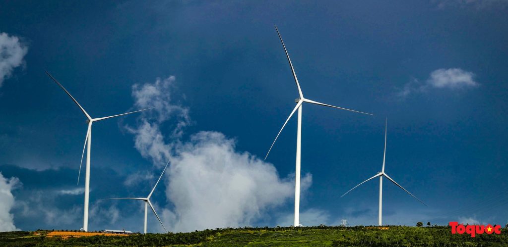 photo 3 16672652729821162659929