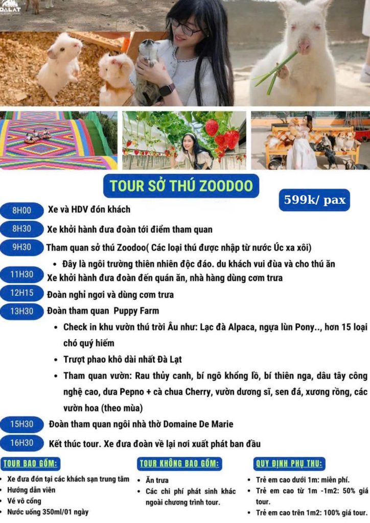 z6443114843282 5d94b4cd751bcadd19c395fa364cc980 724x1024 1